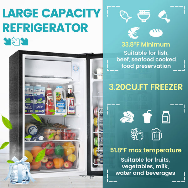 Jeremy Cass 3.2-cu ft Mini Fridge with Freezer ( Silver ) ENERGY STAR